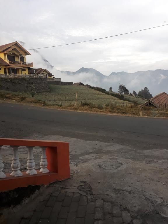 Sedulur Homestay Bromo Eksteriør billede
