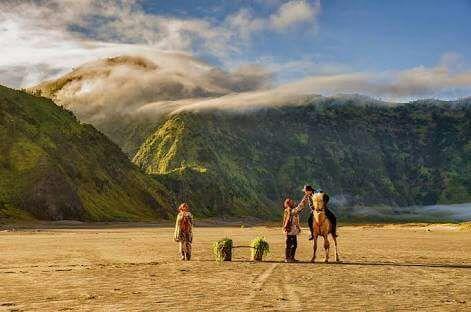 Sedulur Homestay Bromo Eksteriør billede