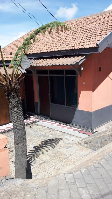 Sedulur Homestay Bromo Eksteriør billede